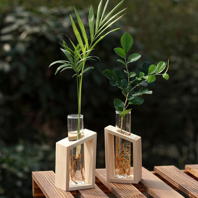 Vase Tube à Essai En Verre Pour Décoration - Style Vintage, Idéal Pour Plantes Hydroponiques Ou Fleurs Coupées